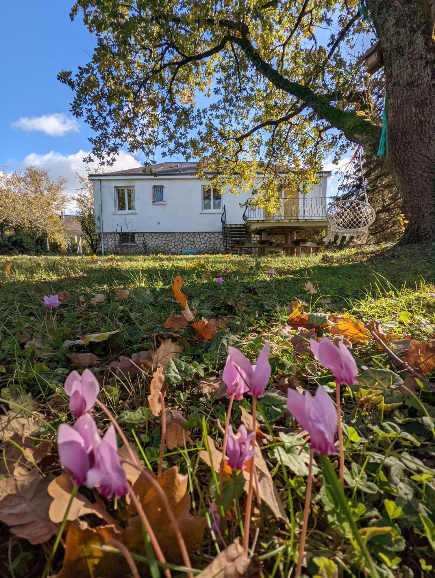 Clef Secrete Ferienhaus Amboise